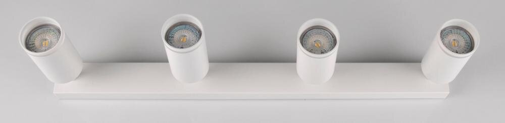 GOLDLUX Paris 4 322302 pomieszczenie światło klosz oryginalność styl