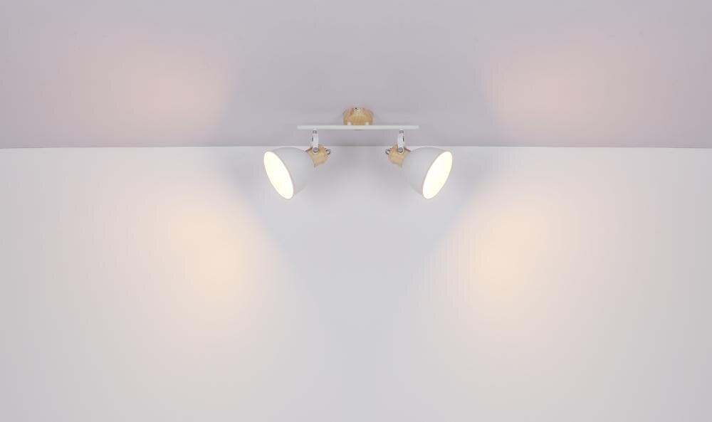 GLOBO Wiho 54018-2 wnętrze pojedynczy metal elegancko trwałość bezpieczeństwo