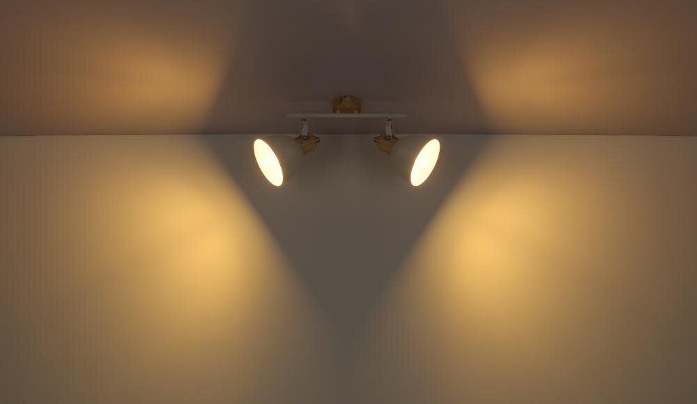 GLOBO Wiho 54018-2 lampa wymiary pomieszczenie biurowe dom klimat urok żarówka źródło światło