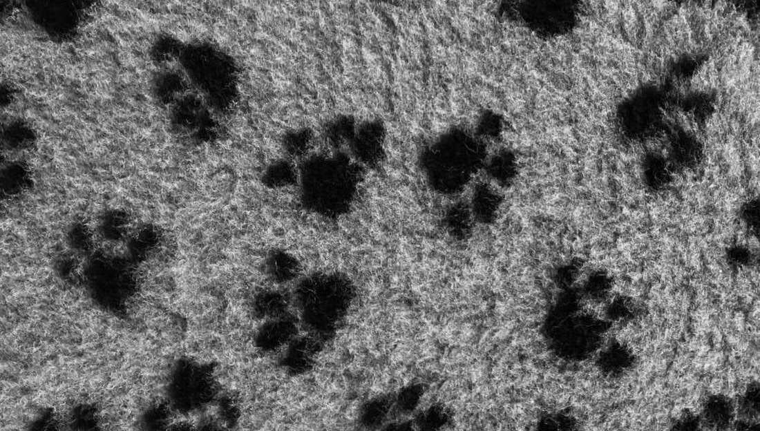 Legowisko uniwersalne BUBA Dry Bed A11 Szary 50 x 37  Bezpieczeństwo i higiena materiał bezpieczeństwo dla zwierząt prać w pralce w temperaturze do 40°C Dry Bed 