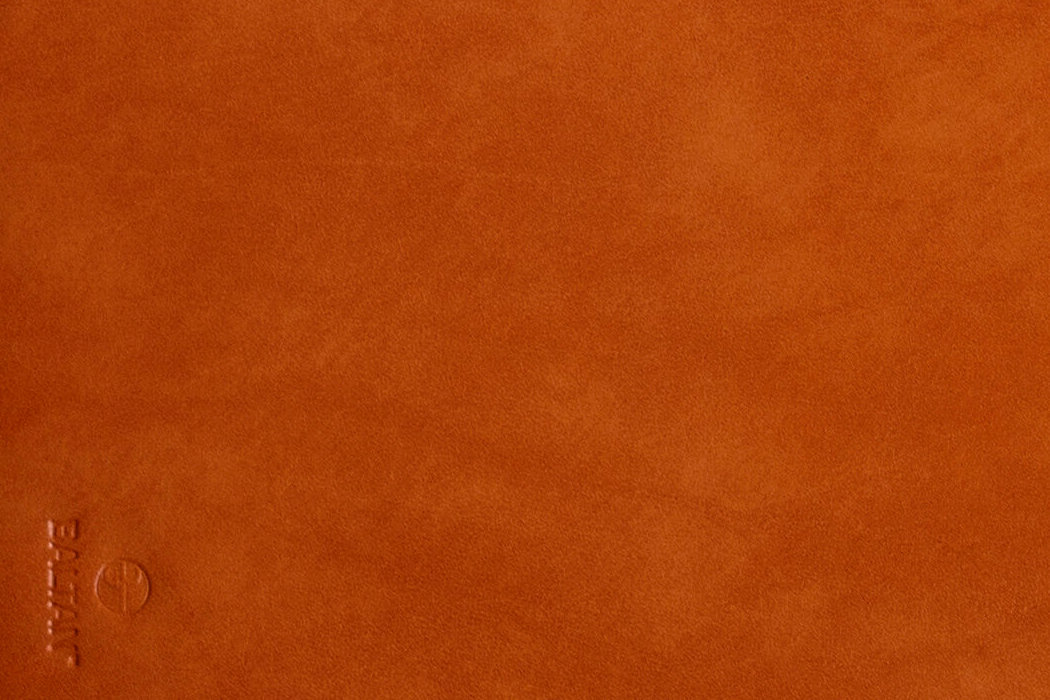 Brązowa powierzchnia z wytłoczonym logo \'BALTAN\'.