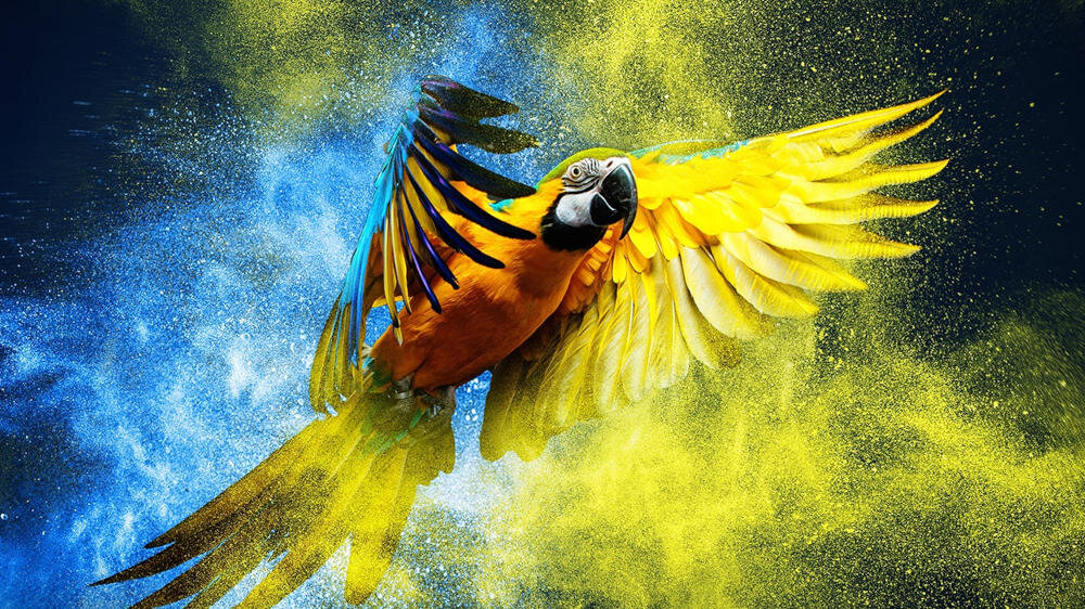 Telewizor GOGEN A330  - obraz