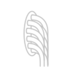 ikonka mielonych składników