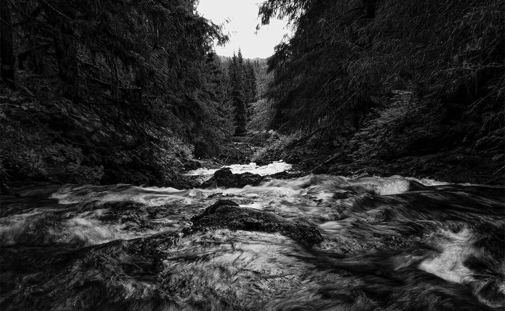Aparat PANASONIC Lumix G9 Mark II Wyświetlacz