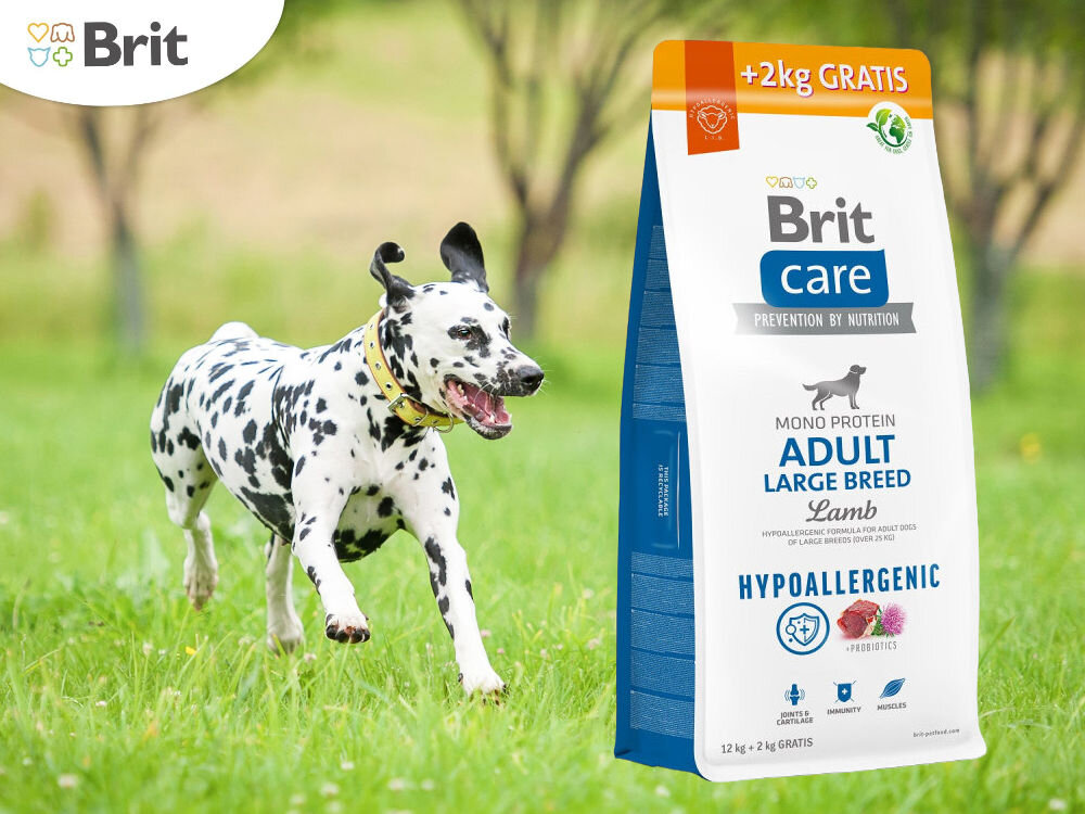 Karma dla psa BRIT Care Hypoallergenic Jagnięcina z ryżem 12 kg + 2 kg witaminy zdrowie