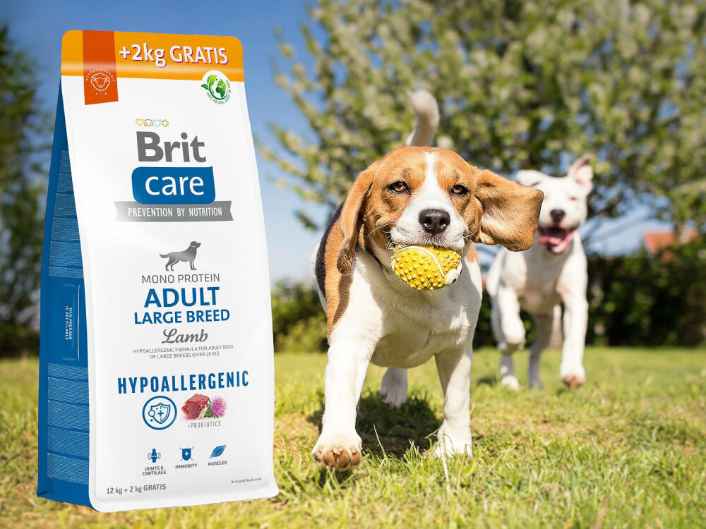Karma dla psa BRIT Care Hypoallergenic Jagnięcina z ryżem 12 kg + 2 kg sklad zywienie