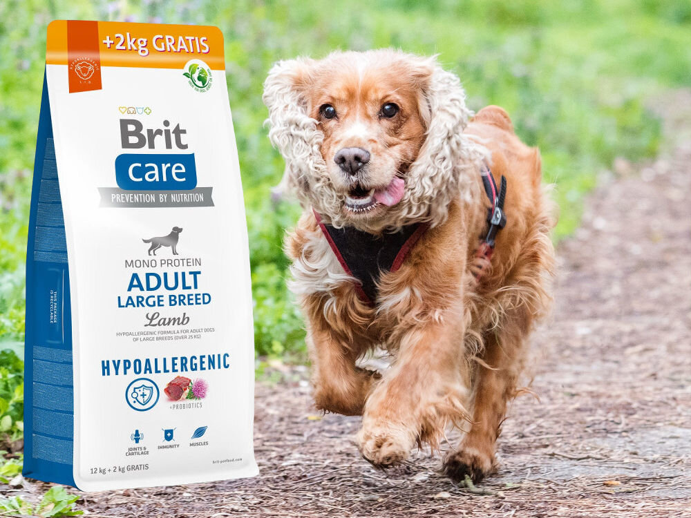 Karma dla psa BRIT Care Hypoallergenic Jagnięcina z ryżem 12 kg + 2 kg dodatki analiza