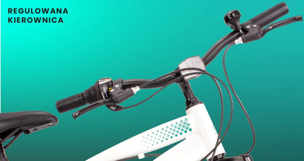 Rower dziecięcy SUN BABY Tiger Bike 20 cali dla chłopca Biało-zielony dziecko nie odczuje dyskomfortu zapewniona odpowiednia pozycja ciala uchwyty antyposlizgowy material zabezpiecza rece przed otarciami regulacja w zakresie od 75 do 80 cm