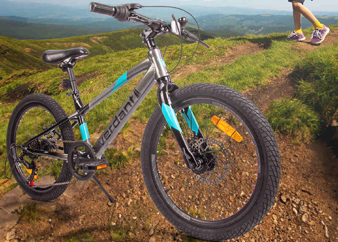 Rower dziecięcy SUN BABY Verdant Alder 20 cali dla chłopca Grafitowo-niebieski kola 20 cali rama 10 cali kolor kolorystyka wygoda parametry uzytkowanie wykonczenie