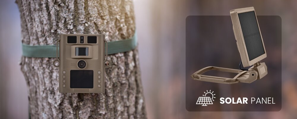 Kamera obserwacyjna Redleaf T20WF zamocowana na drzewie z paskiem oraz panel solarny w kolorze brązowym jako akcesorium