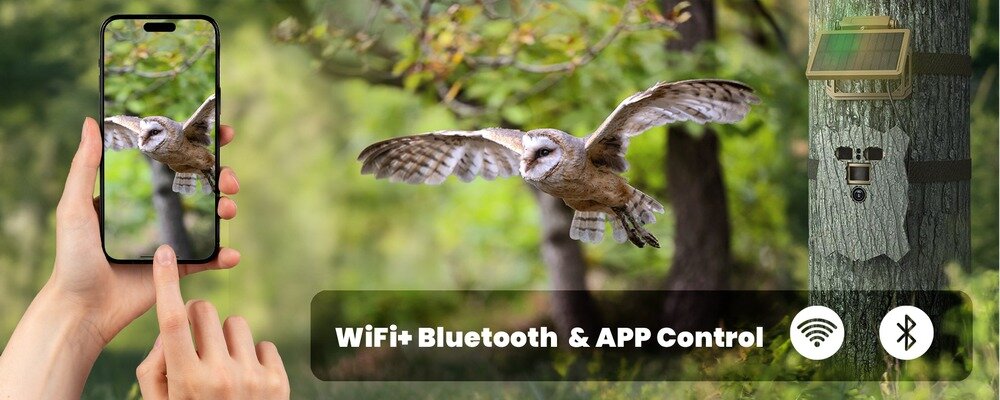 Kamera obserwacyjna Redleaf T20WF na drzewie z panelem solarnym, aplikacja w smartfonie i lecąca sowa w tle
