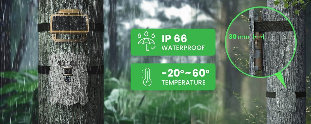 Kamera obserwacyjna Redleaf T20WF z panelem solarnym na drzewie, wodoodporność IP66 i praca w temperaturach od -20 do 60°C