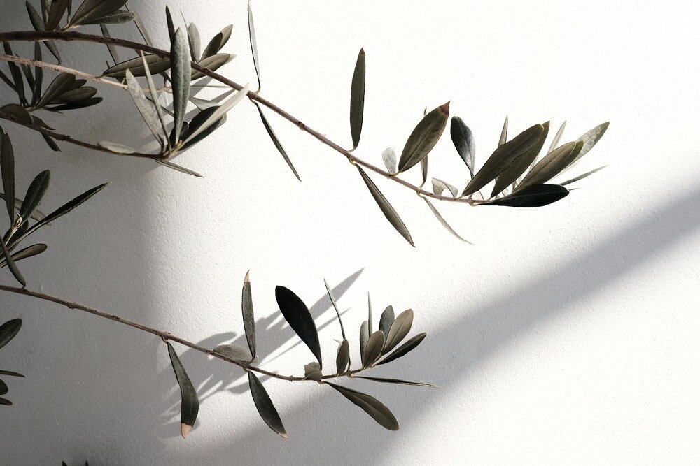 Obiektyw FUJIFILM Fujinon XF 16 mm f-2.8 R WR szeroki kąt