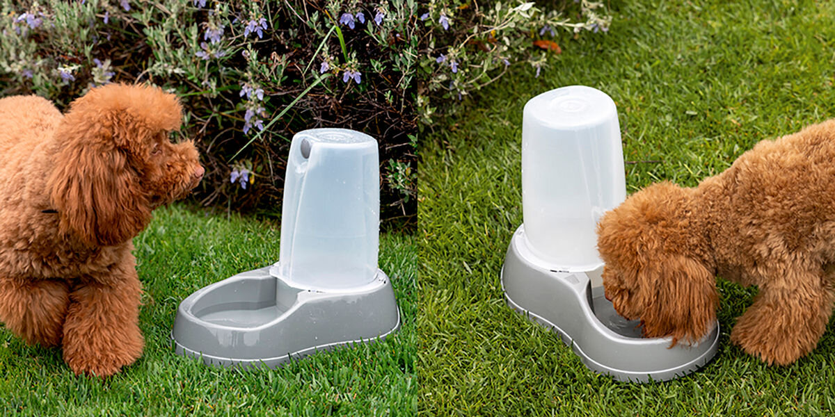 Automatyczny dozownik do karmy Petwant F22 z funkcją automatycznego karmienia i kontroli porcji