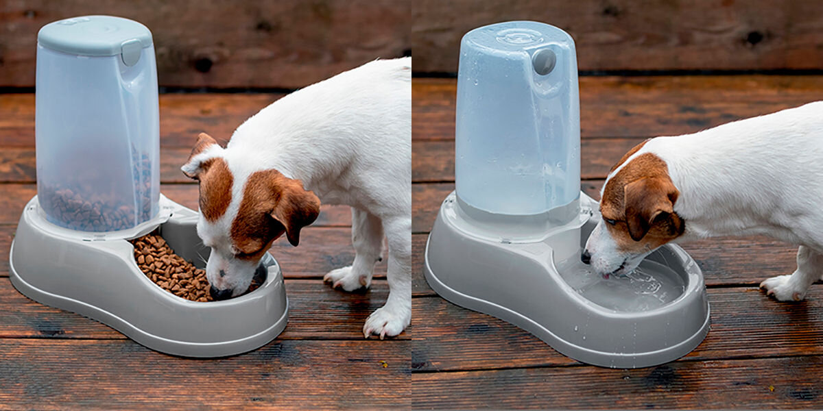 Automatyczny dozownik do karmy Petwant F22 łatwa obsługa bezpieczna konstrukcja brak przewodów