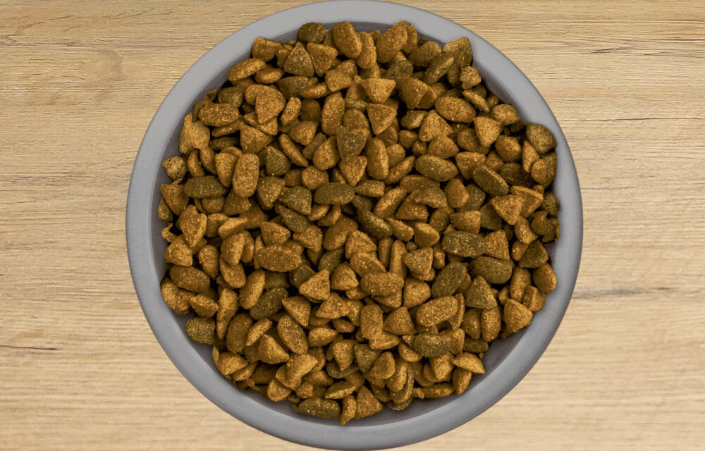 Karma dla kota PERFECT FIT Junior Kurczak 750 g naturalne składniki