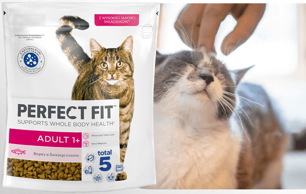 Karma dla kota PERFECT FIT Adult 1+ Łosoś 750 g witaminy pierwiastki aminokwasy