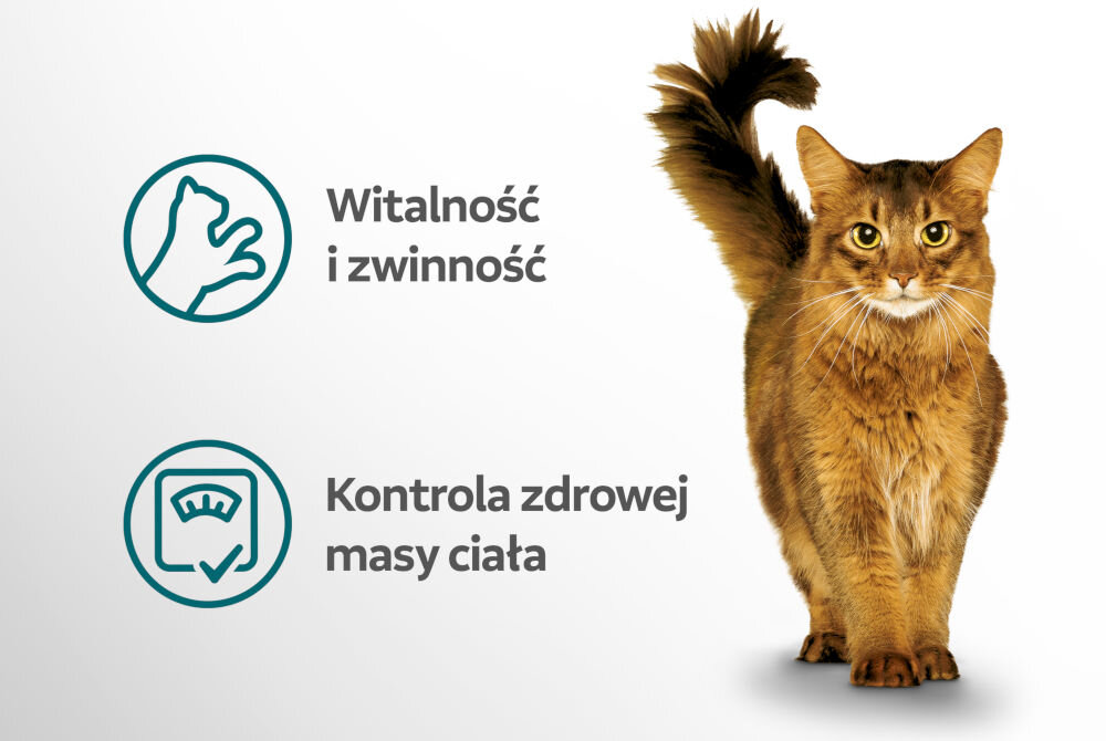 Karma dla kota PERFECT FIT Sterile Kurczak 2.8 kg Pionowa infografika na jasnym tle, przedstawiająca dwie główne korzyści karmy dla kotów po sterylizacji, z wizerunkiem stojącego, rudego kota o uniesionym ogonie i bystrym spojrzeniu, umieszczonym po prawej stronie. Korzyści to: Witalność i zwinność (ikona łapy w okręgu). Kontrola zdrowej masy ciała (ikona wagi z kleszczem w okręgu).
