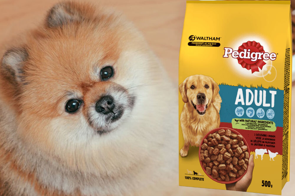 Karma dla psa PEDIGREE Vital Protection Wołowina z drobiem 500 g naturalne składniki