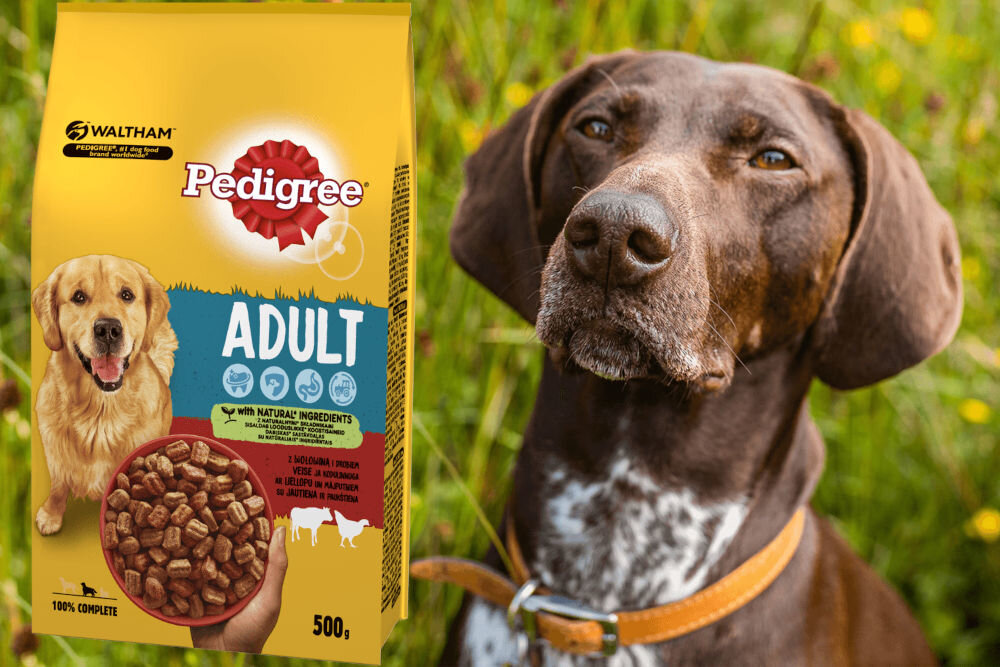 Karma dla psa PEDIGREE Vital Protection Wołowina z drobiem 500 g dawkowanie analiza sklad