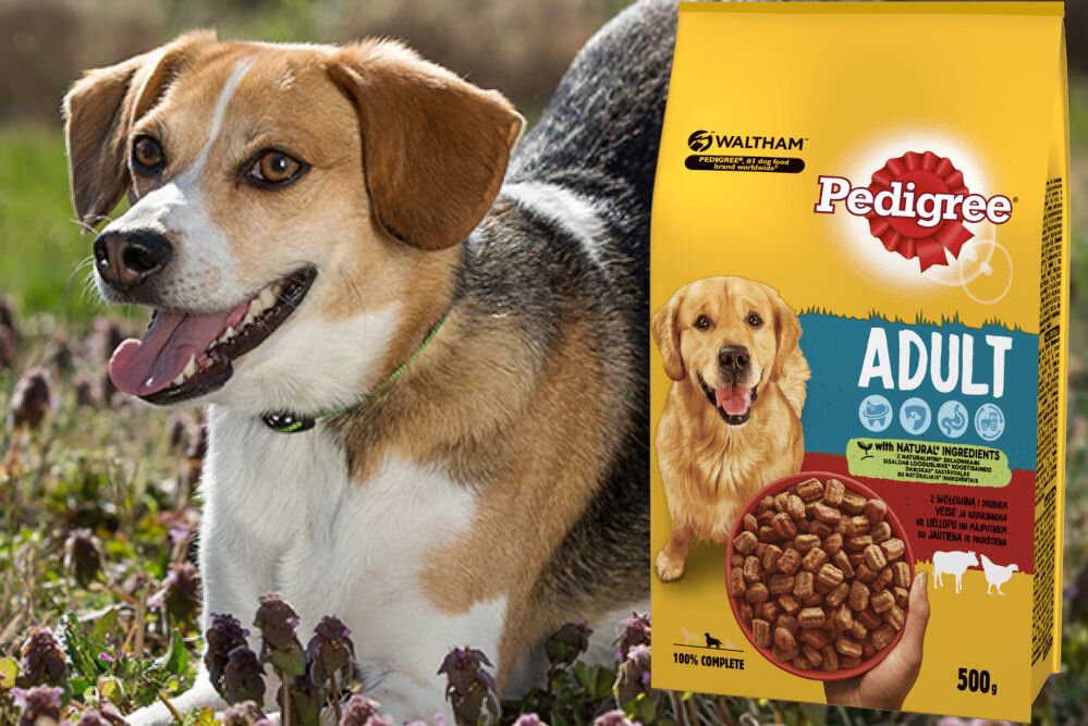 Karma dla psa PEDIGREE Vital Protection Wołowina z drobiem 500 g witaminy pierwiastki aminokwasy