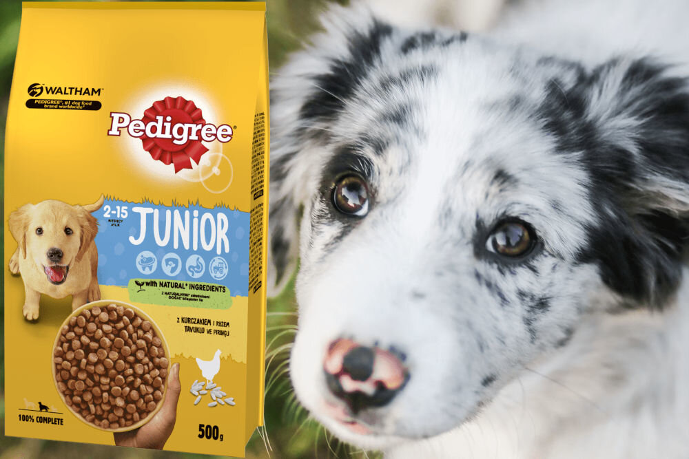 Karma dla psa PEDIGREE Junior Kurczak 500 g naturalne składniki