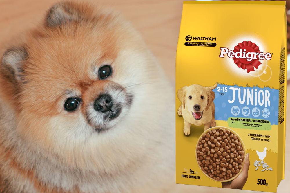 Karma dla psa PEDIGREE Junior Kurczak 500 g dawkowanie analiza sklad
