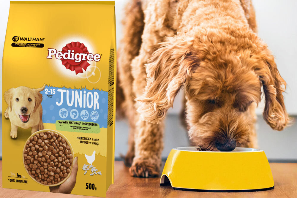 Karma dla psa PEDIGREE Junior Kurczak 500 g witaminy pierwiastki aminokwasy