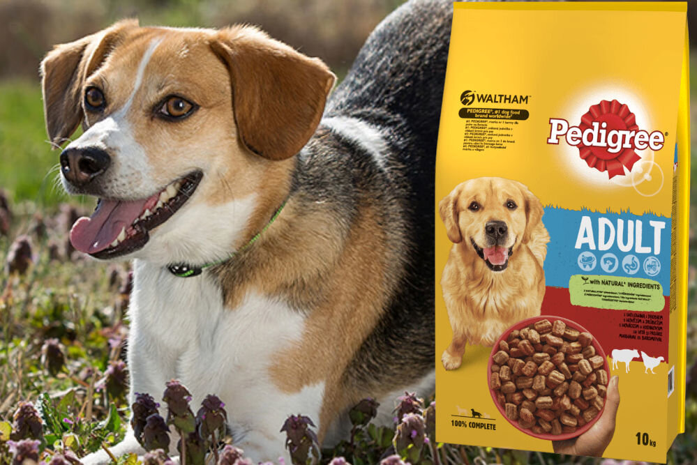 Karma dla psa PEDIGREE Vital Protection Wołowina z drobiem 10 kg witaminy pierwiastki aminokwasy