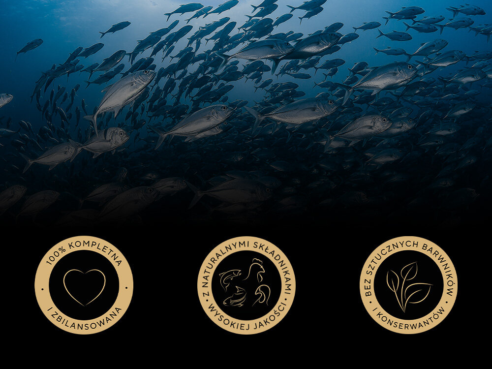 Karma dla kota SHEBA Nature’s Collection Drobiowe Smaki (4 x 85 g) 100% kompletna i zbilansowana z naturalnymi składnikami bez sztucznych barwników i konserwantów