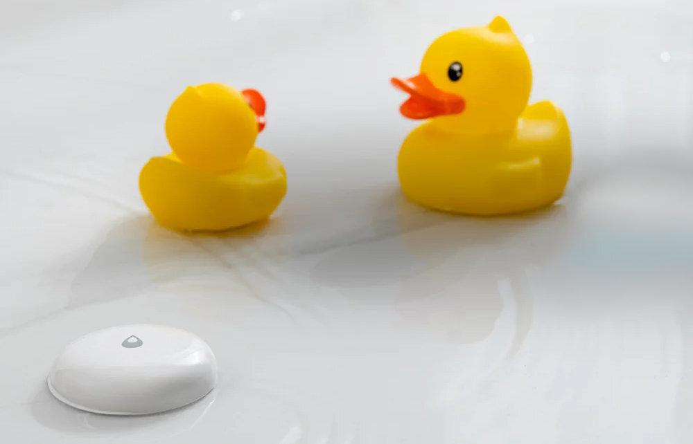 AQARA WL-S02D - czujnik zamoczony w tafli wody, obok kaczuszki