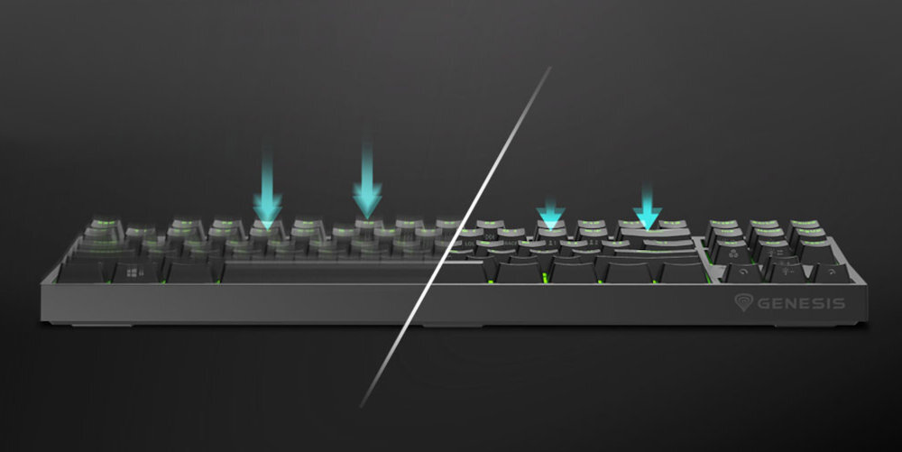 GENESIS Thor 404 TKL przełączniki Kailh Box Brown V2 Aktywacja na 2 mm, siła nacisku 55 g żywotność do 80 mln kliknięć czasem reakcji 1 ms - Dwa rodzaje klawiatur wyświetlone obok siebie, podkreślające różne mechanizmy przełączników.