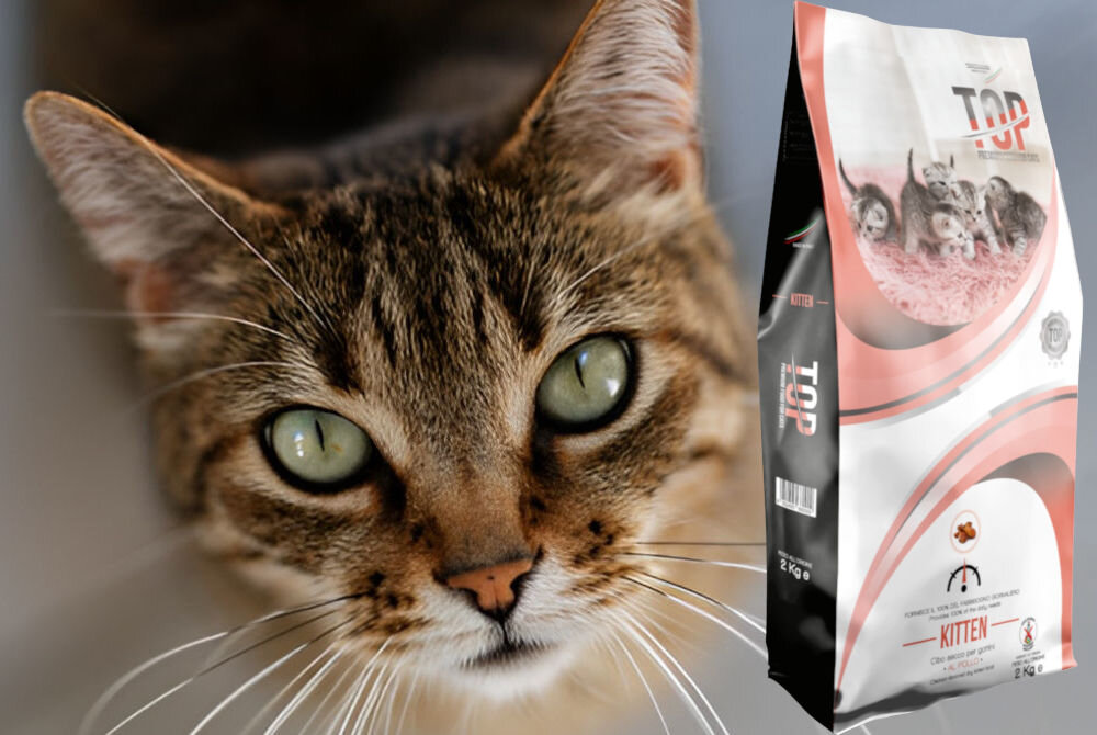 Karma dla kota TOP Kitten Kurczak 2 kg