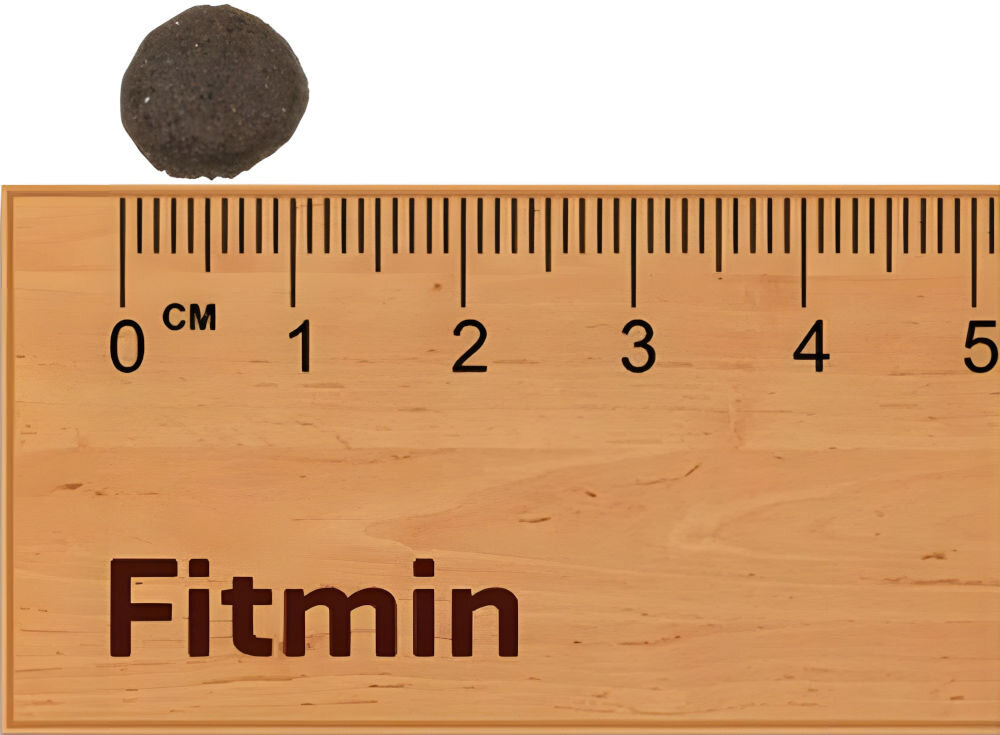 Karma dla kota FITMIN Cat For Life Castrate Kurczak 8 kg wielkość chrupki około 1 cm na miarce