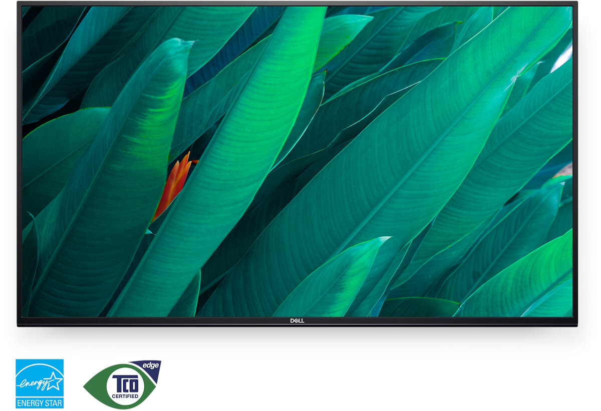 Monitor DELL P5524Q 54.6 3840x2160px środowisko energooszczędność