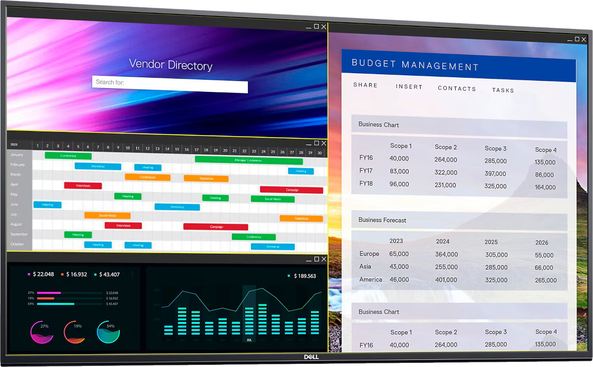 Monitor DELL P5524Q 54.6 3840x2160px oprogramowanie funkcje narzędzia skróty