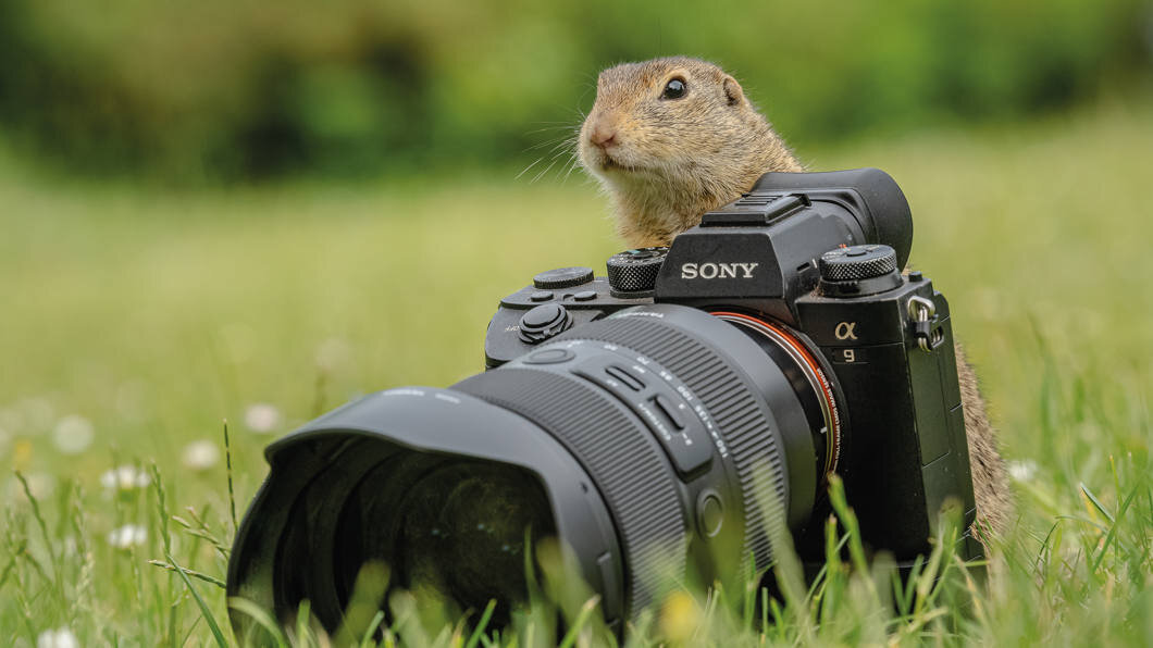 Obiektyw TAMRON 150-500 mm f-5-6.7 Di III VC VXD zoom ogniskowa przysłona montaż ostrość zdjęcia stabilizacja filmy