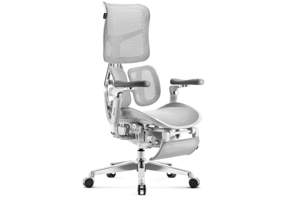 Fotel DIABLO CHAIRS Brave V-Kinetic Szary prezentacja fotela od przodu pod kątem na białym tle ergonomiczny komfort regulacje wsparcie postawy zdrowe nawyki