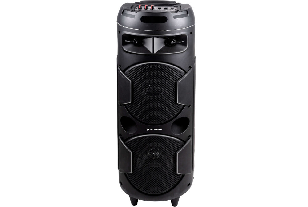 Power audio DUNLOP D684 - moc 20 W