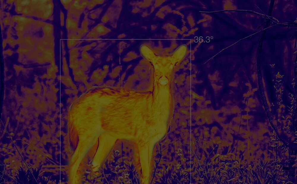 Smartfon DOOGEE V20 Pro technologia