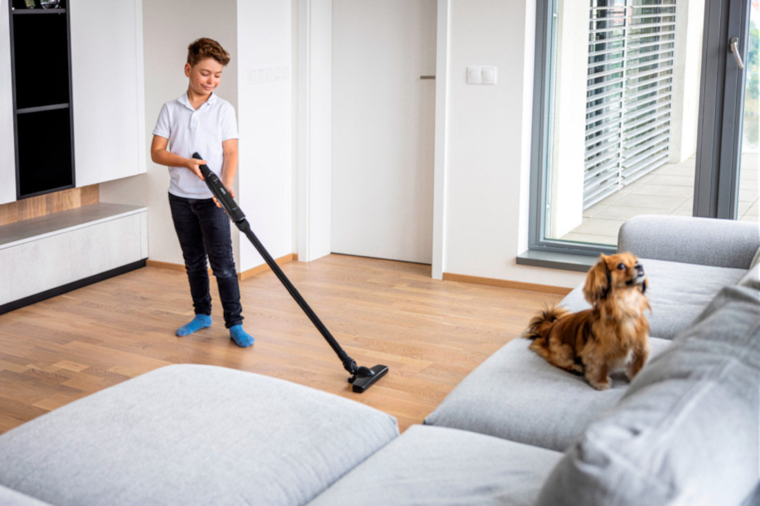 Odkurzacz LAUBEN Hand Vacuum 2in1 120BC ręczny pionowy możliwości sprzątanie moc dwa tryby ssania low high