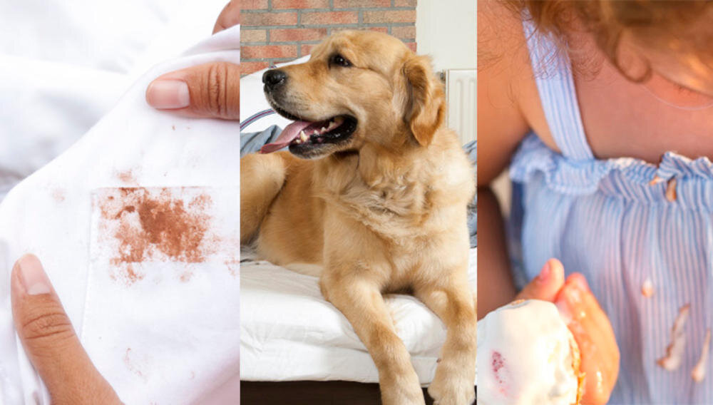 HAIER RTXSG48TMCE-16 automatyczny dobór moc ustawienia odświeżanie plamy intensywność czyszczenie