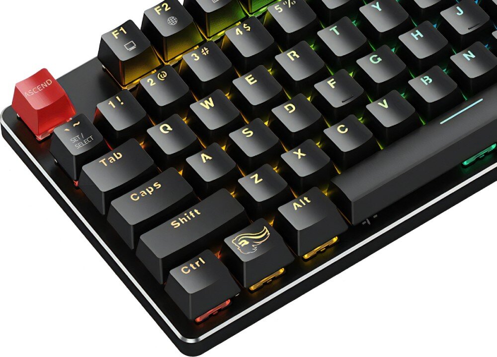 Klawiatura GLORIOUS GMMK TKL Gateron Brown rozmiar wielkość przełączniki pisanie
