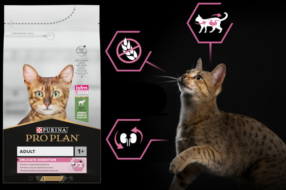 Karma dla kota PURINA Pro Plan Delicate Digestion Jagnięcina 1,5 kg witaminy zdrowie