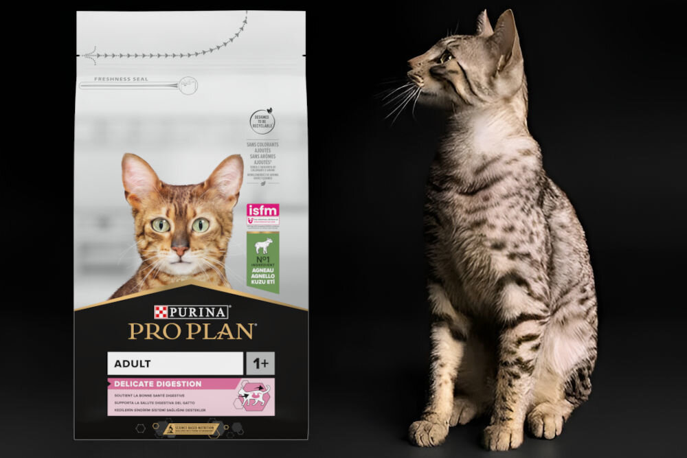 Karma dla kota PURINA Pro Plan Delicate Digestion Jagnięcina 1,5 kg sklad zywienie