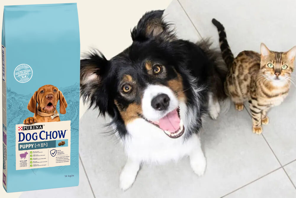 Karma dla psa PURINA Dog Chow Puppy z Jagnięciną 14 kg witaminy zdrowie