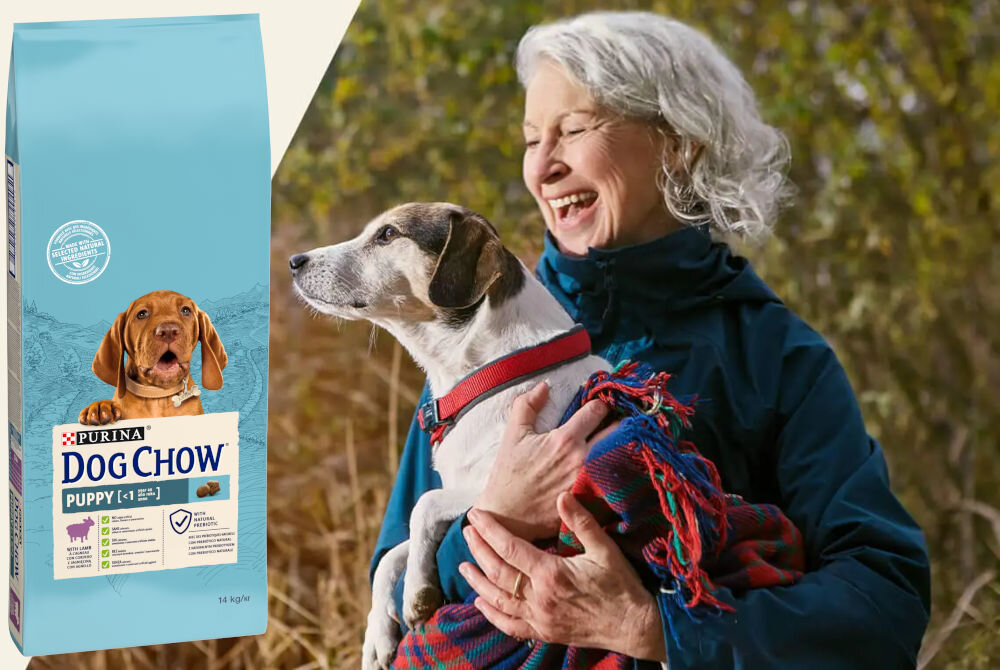 Karma dla psa PURINA Dog Chow Puppy z Jagnięciną 14 kg sklad analiza