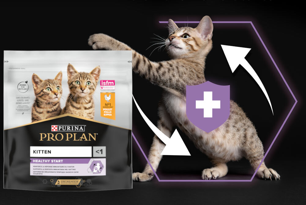 Karma dla kota PURINA Pro Plan Kitten Healthy Start Kurczak 2 x 400 g witaminy zdrowie