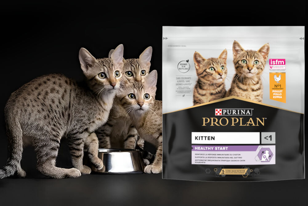 Karma dla kota PURINA Pro Plan Kitten Healthy Start Kurczak 2 x 400 g dodatki analiza