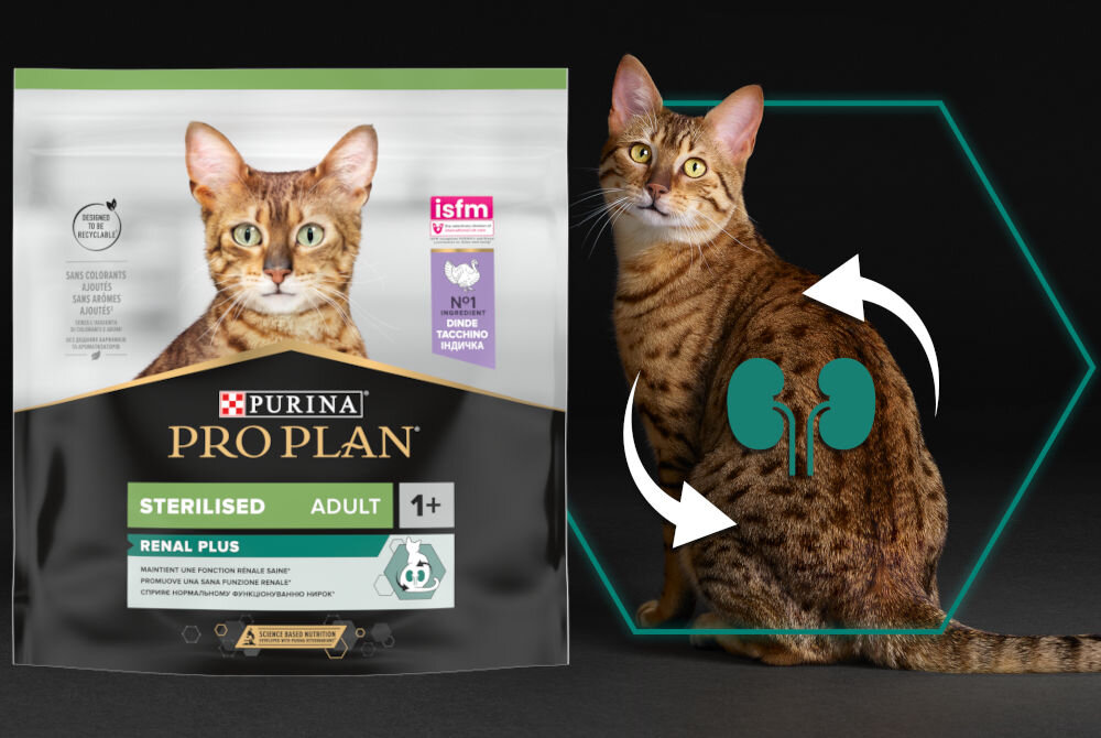 Karma dla kota PURINA Pro Plan Sterilised Indyk 2 x 400 g witaminy zdrowie